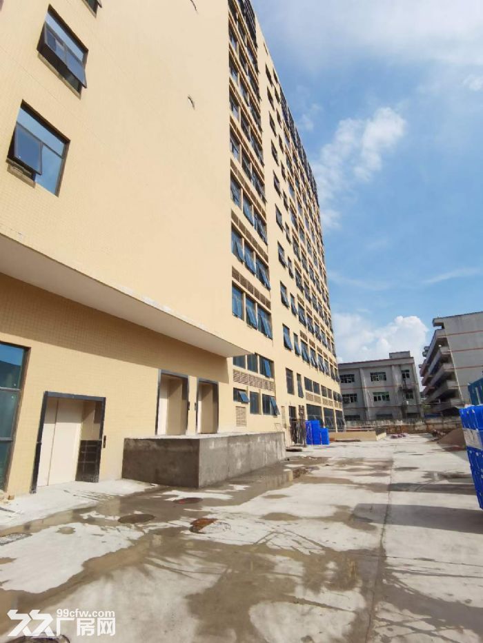 原房东出租 凤岗独栋电商仓库厂房出租2万平方 大小可分租-图8