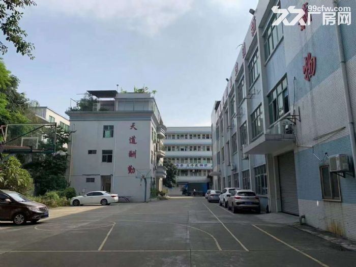 独院厂房实际分租一二楼2400平 塘厦田心科苑城-图2