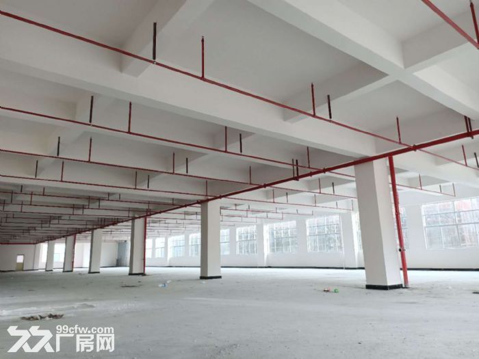 凤岗近深圳可做珍珠棉 包装材料 电池 喷油厂房出租 大小分租-图1