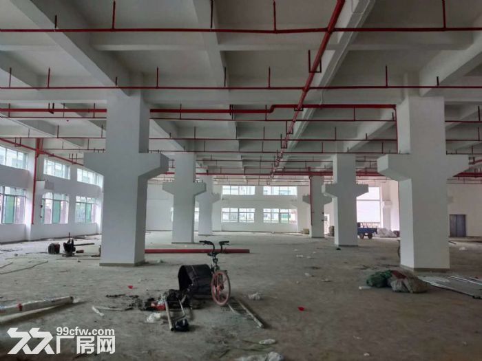 凤岗近深圳可做珍珠棉 包装材料 电池 喷油厂房出租 大小分租-图2