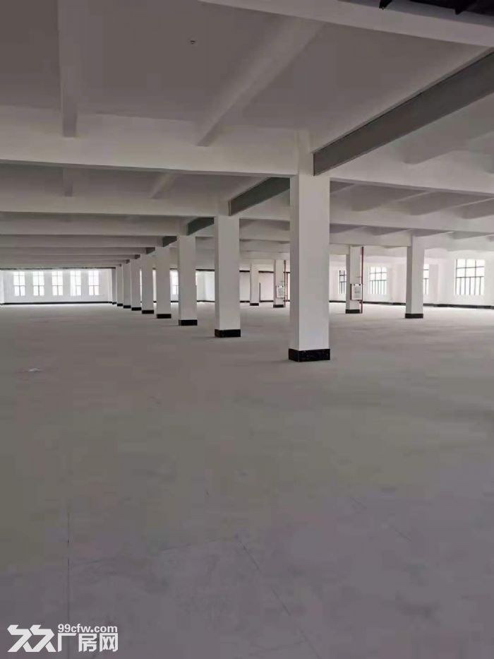 常平带喷油，喷粉，硅胶，朔胶，洗水环评厂房出租 大小分租-图2