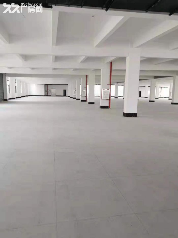 常平带喷油，喷粉，硅胶，朔胶，洗水环评厂房出租 大小分租-图3