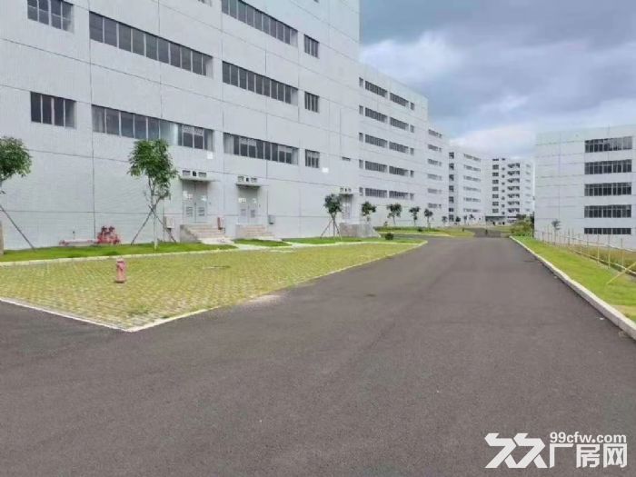 清溪全新红本工业园总面积13万平米招租-图1