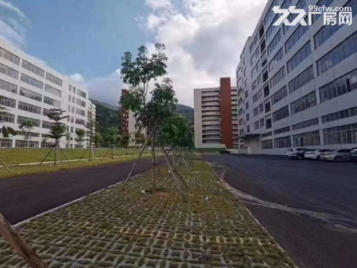 清溪全新红本工业园总面积13万平米招租-图2