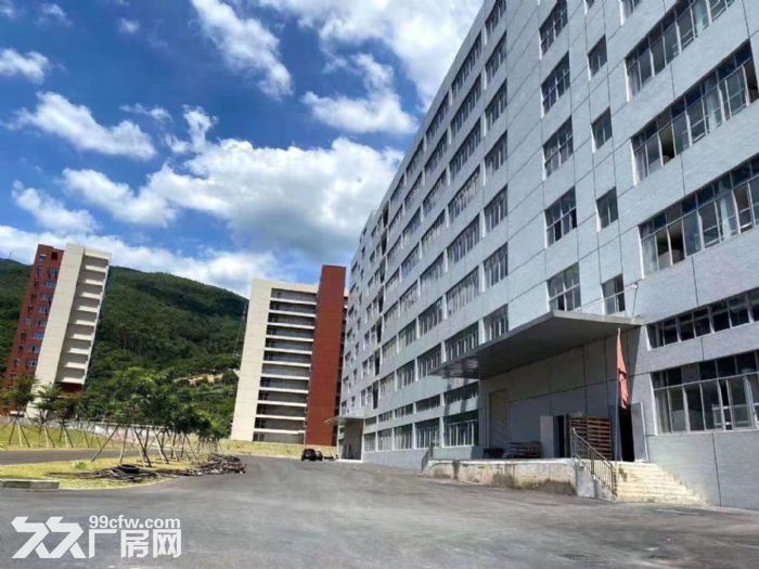 清溪全新红本工业园总面积13万平米招租-图7