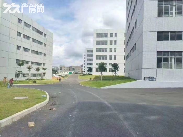 清溪全新红本工业园总面积13万平米招租-图4