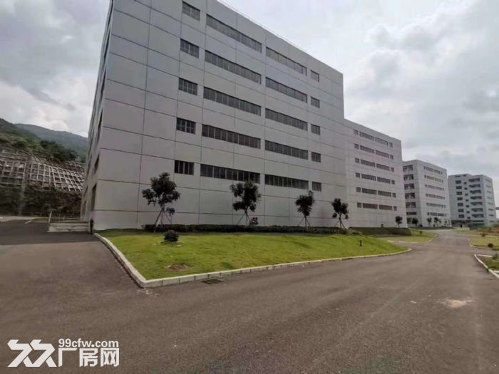 清溪全新红本工业园总面积13万平米招租-图3