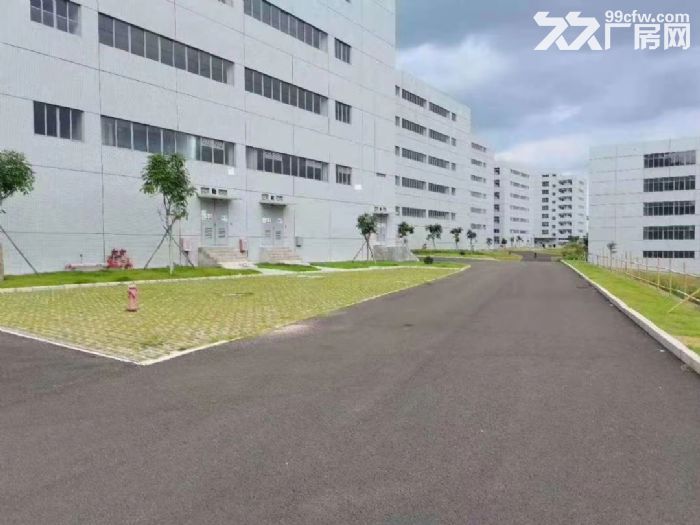 清溪全新红本工业园总面积13万平米招租-图5