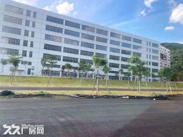 清溪全新红本工业园总面积13万平米招租-图8