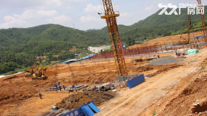 东莞市常平镇７００００平米钢架厂房出租 (可分租)-图2