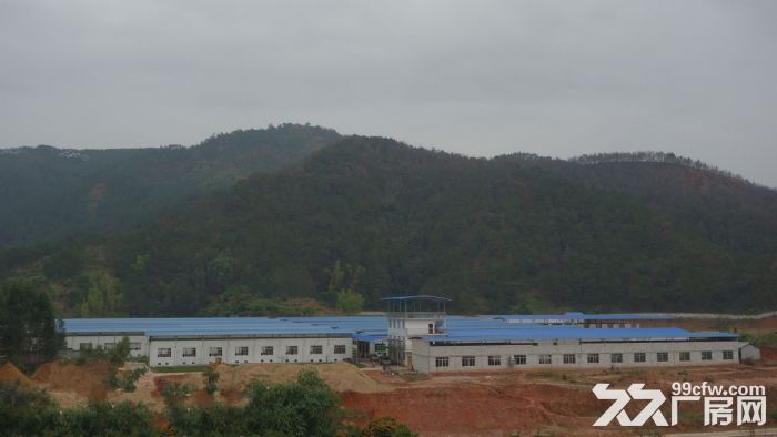 东莞市凤岗镇７８０００平米钢架厂房出租 (可分租)-图1