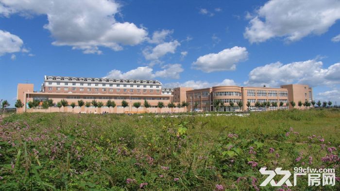 东莞市清溪镇８００００平米钢架厂房出租 (可分租)-图2