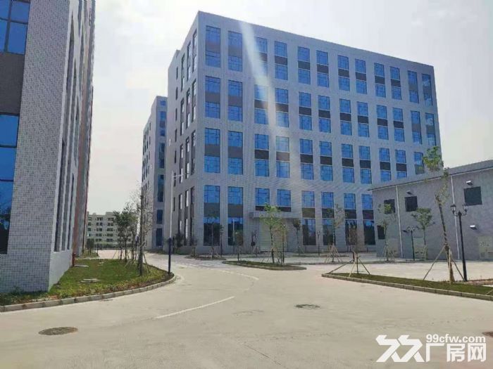 望牛墩全新高新产业园厂房出租-图1