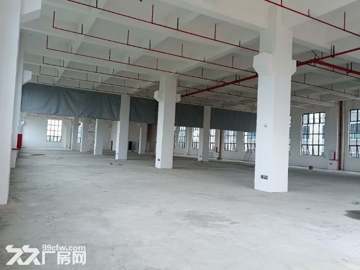 望牛墩全新高新产业园厂房出租-图2