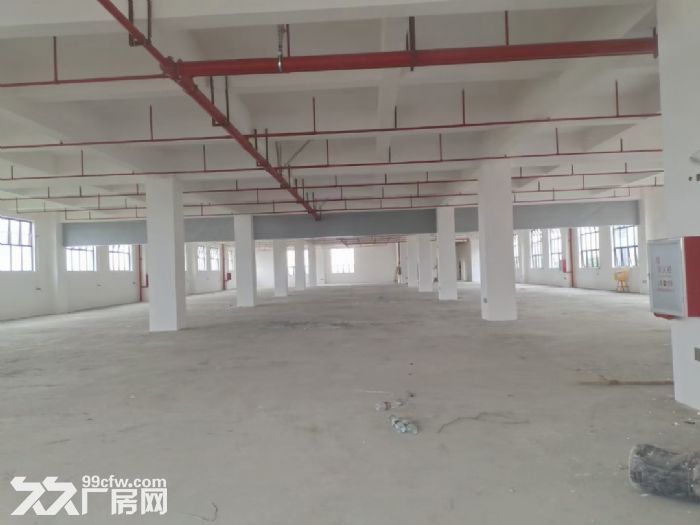 望牛墩全新高新产业园厂房出租-图3