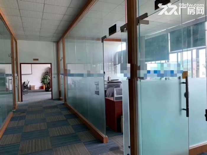 塘厦横塘楼上1600平方厂房出租 适合包装电子贸易五金加工-图3