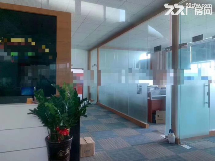 塘厦横塘楼上1600平方厂房出租 适合包装电子贸易五金加工-图2