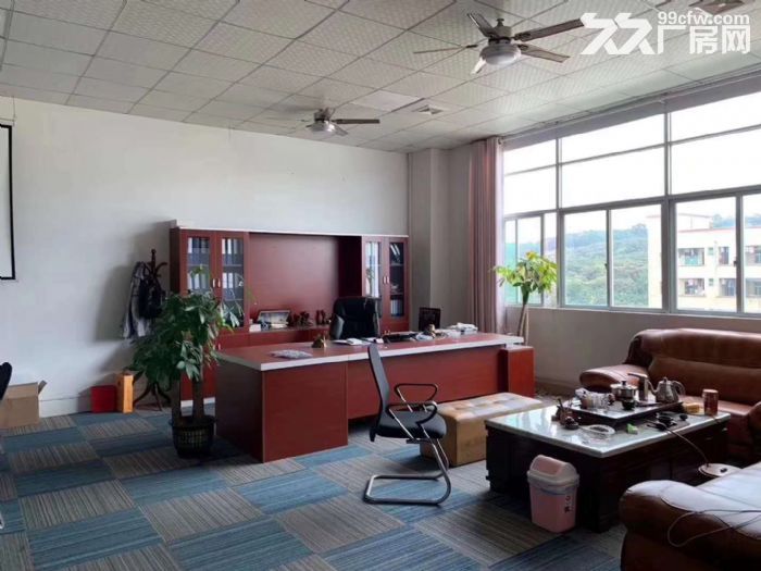 塘厦横塘楼上1600平方厂房出租 适合包装电子贸易五金加工-图4