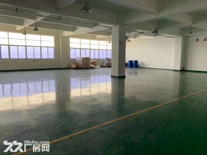 塘厦横塘楼上1600平方厂房出租 适合包装电子贸易五金加工-图5