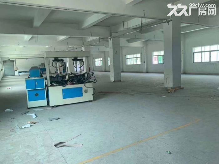 塘厦科苑城小独院厂房出租3600平方，电400，适合各行业-图3