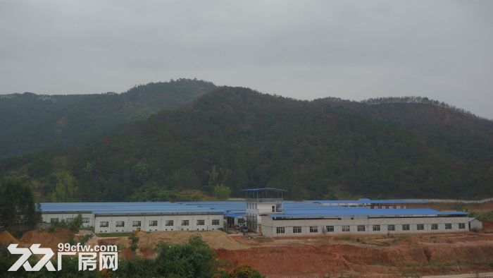 东莞市塘厦镇５８０００平米钢架厂房出租 (可分租)-图1