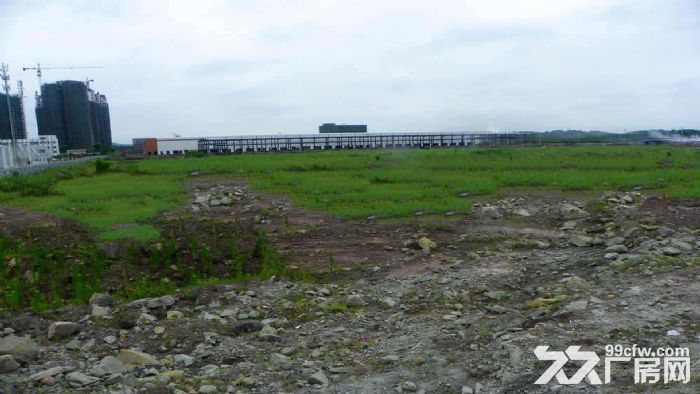 东莞市塘厦镇５８０００平米钢架厂房出租 (可分租)-图2