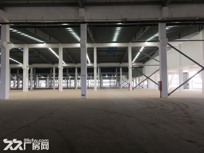 厚街汀山36000平米单层钢结构厂房招租可分租-图4