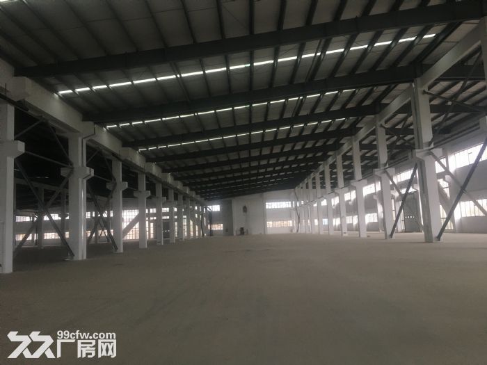 厚街汀山36000平米单层钢结构厂房招租可分租-图3