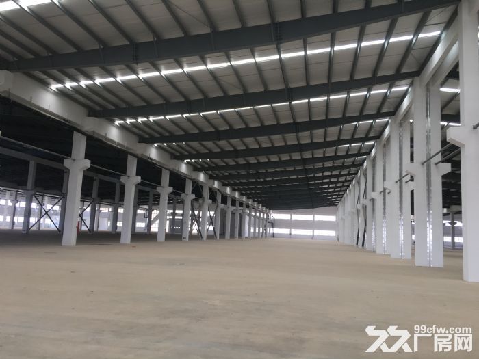 厚街汀山36000平米单层钢结构厂房招租可分租-图5