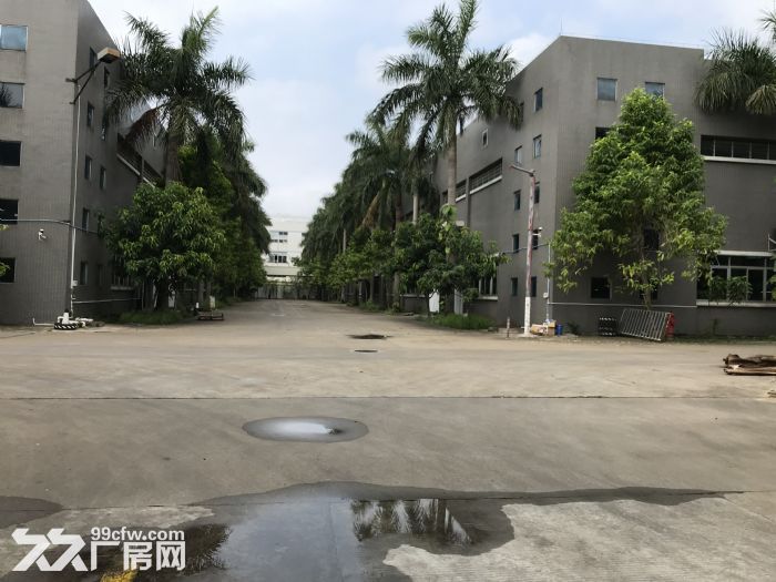 厚街汀山36000平米单层钢结构厂房招租可分租-图7