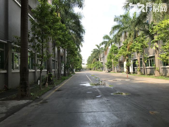 厚街汀山36000平米单层钢结构厂房招租可分租-图6