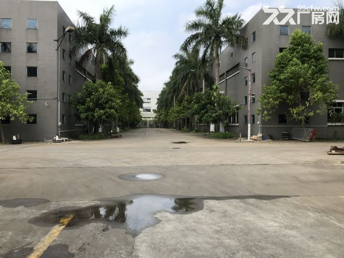 厚街汀山36000平米单层钢结构厂房招租可分租-图8
