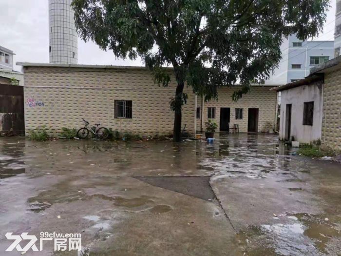 小独院 凤岗单一层钢构厂房出租950平 家具 仓库塑胶-图4