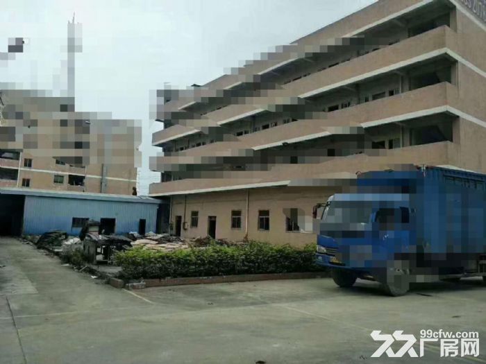 东莞凤岗近观兰单一层钢结构独院厂房出租6000平-图3