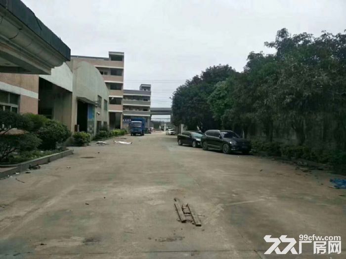 东莞凤岗近观兰单一层钢结构独院厂房出租6000平-图4