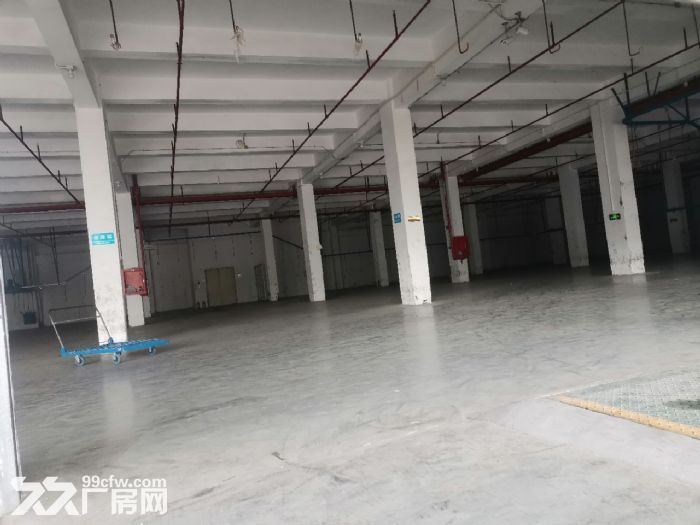 东莞市茶山镇出租标准一楼仓库2500平方 8米 带消防喷淋-图2