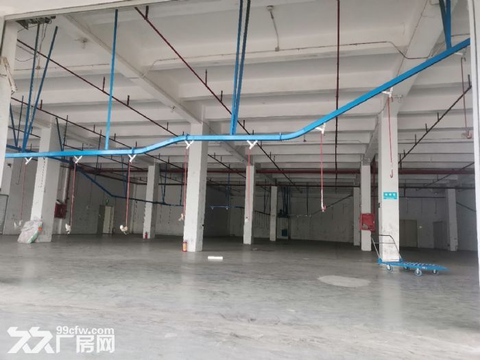 东莞市茶山镇出租标准一楼仓库2500平方 8米 带消防喷淋-图3