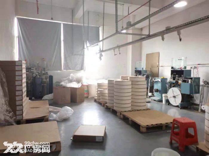 凤岗油甘埔1300平厂房出租 电子组装 小五金加工 电商仓库-图3