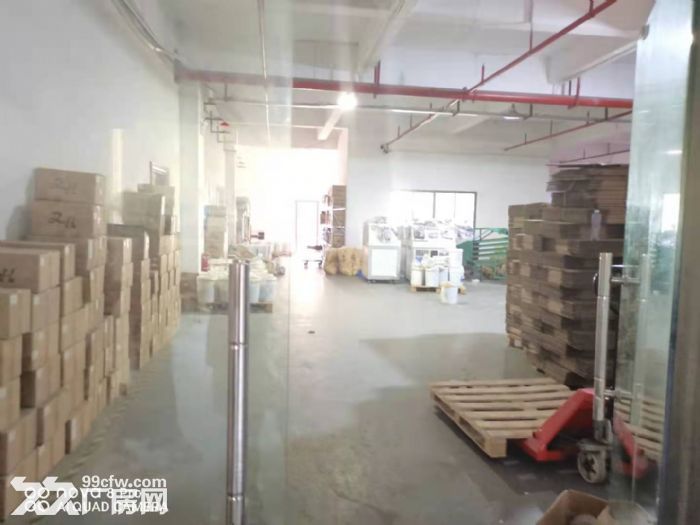 凤岗油甘埔1300平厂房出租 电子组装 小五金加工 电商仓库-图1