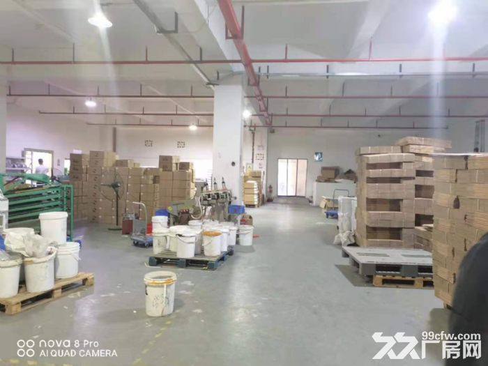 凤岗油甘埔1300平厂房出租 电子组装 小五金加工 电商仓库-图4