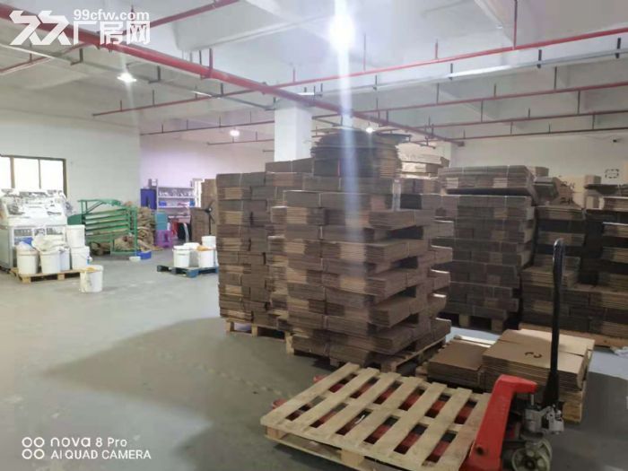 凤岗油甘埔1300平厂房出租 电子组装 小五金加工 电商仓库-图6