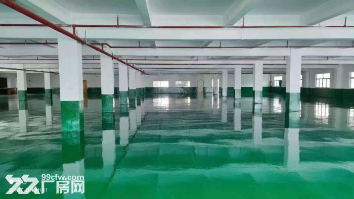 凤岗油甘埔独院厂房出租楼上2700平 全新地坪漆 可分租-图2