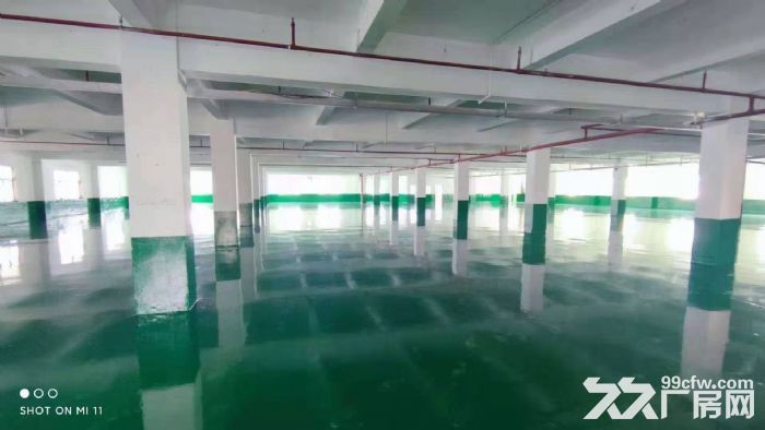 凤岗油甘埔独院厂房出租楼上2700平 全新地坪漆 可分租-图1