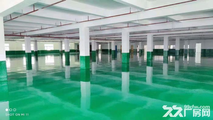 凤岗油甘埔独院厂房出租楼上2700平 全新地坪漆 可分租-图3