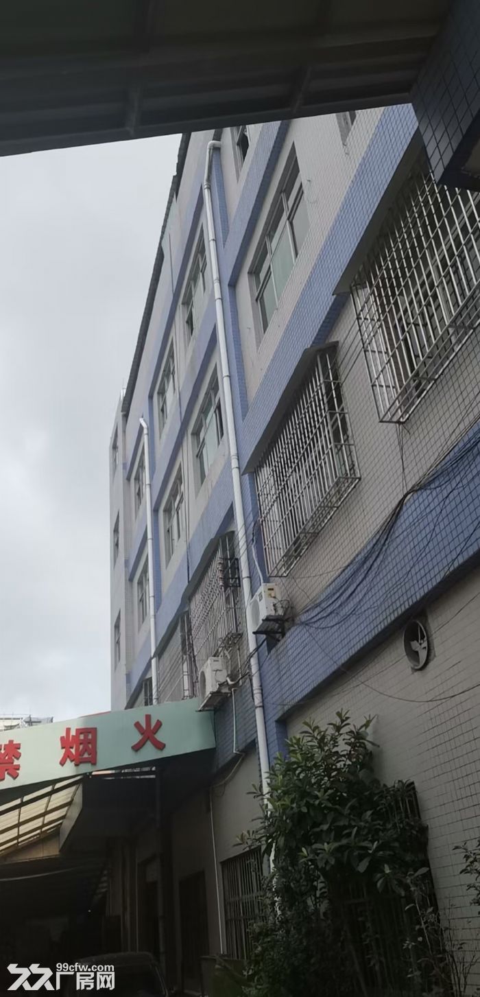 自用闲置一楼厂房出租1100方样样齐全-图3