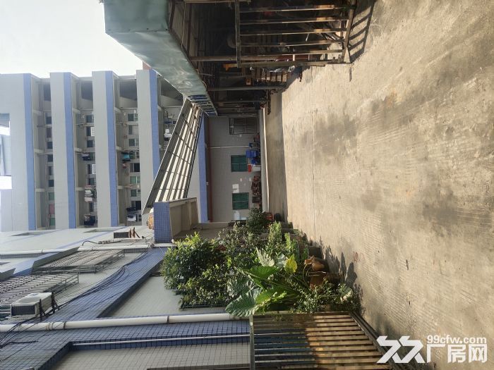 自用闲置一楼厂房出租1100方样样齐全-图2