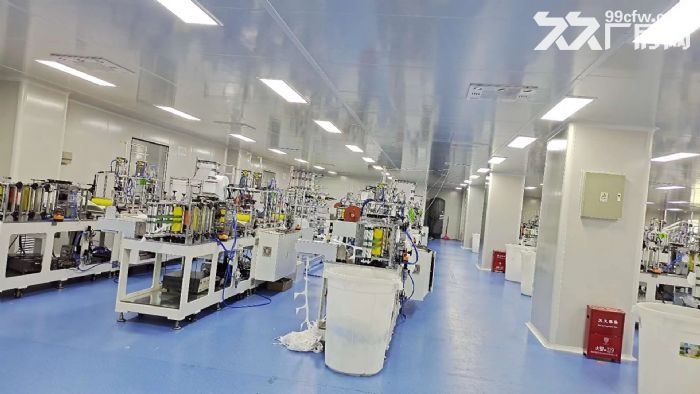 寮步镇东部快速附近原房东村委厂房1&minus;3层10000平方出租-图3