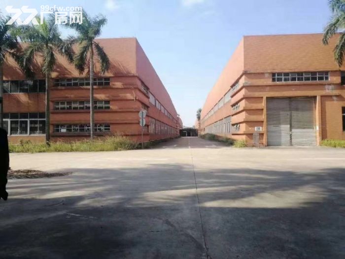 清溪镇36000平方独门独院钢结构厂房招租-图2