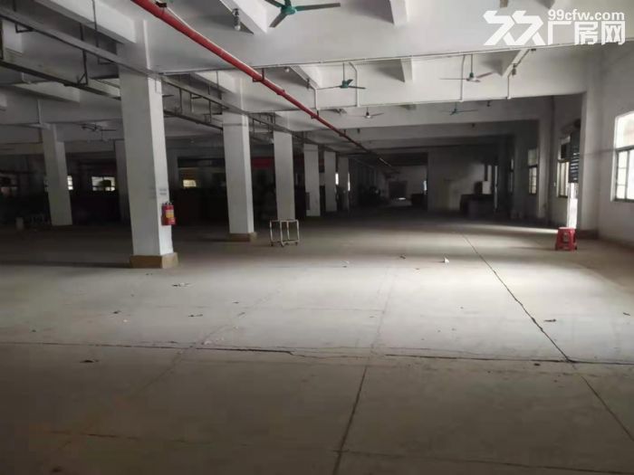 两层独院厂房出租22000平米  塘厦高速路口 空地大-图3