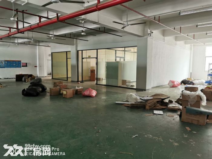 凤岗电子组装 电商 贸易 现成办公室厂房出租1050平-图1